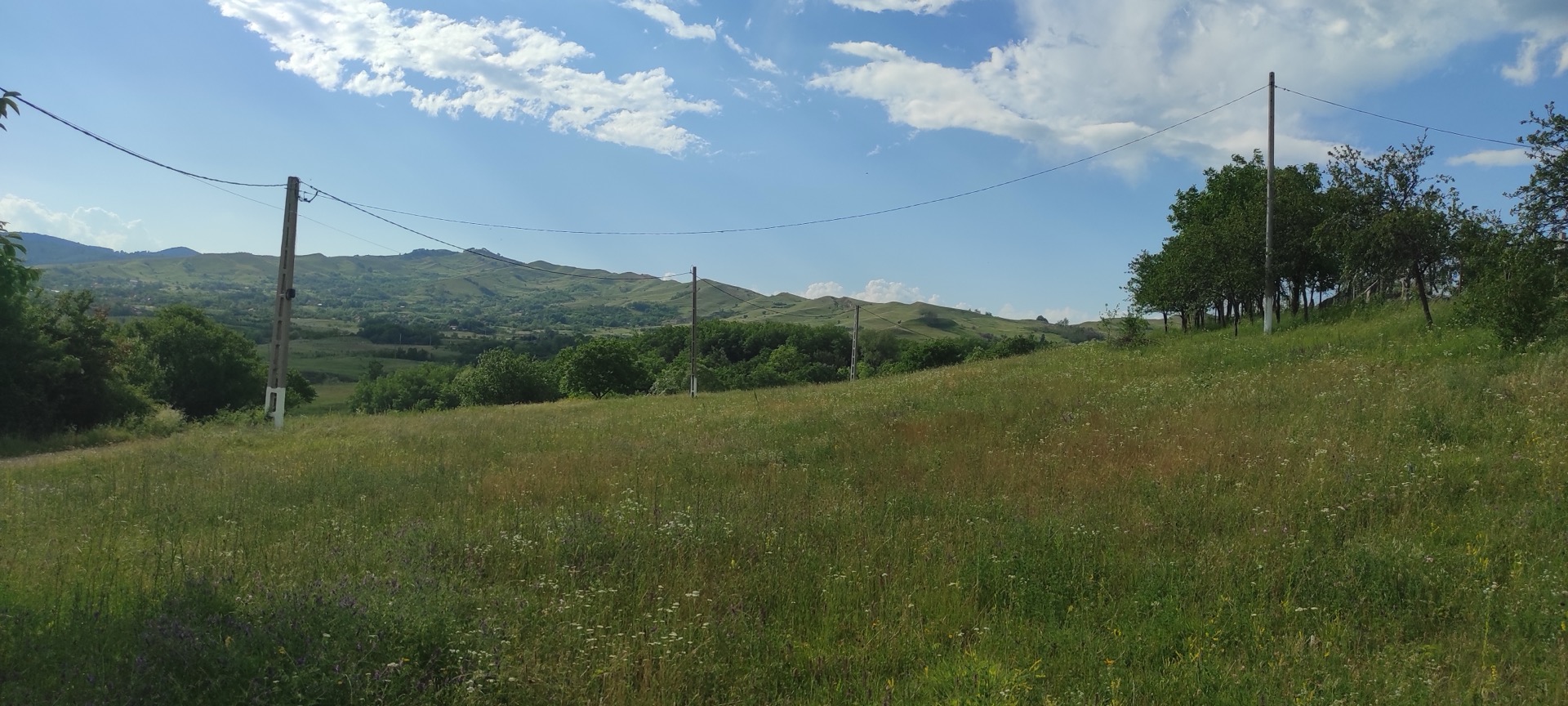 Pajiște din apropierea rezervației Vulcanii Noroioși