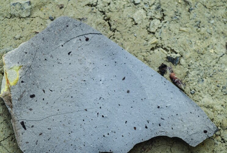 Roci poroase